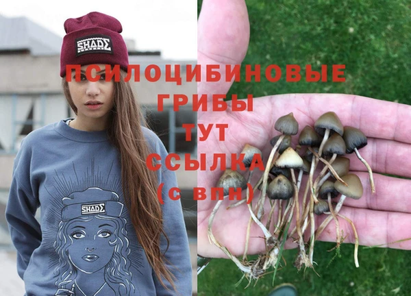 тгк Балахна