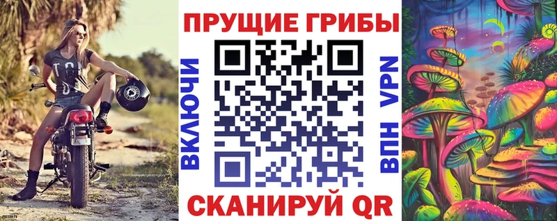 Псилоцибиновые грибы мухоморы  что такое наркотик  MEGA ссылка  Губаха 