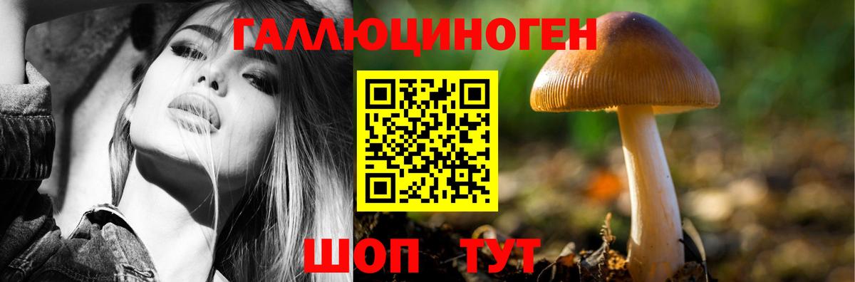 Галлюциногенные грибы мухоморы  Вход с VPN  Губаха 
